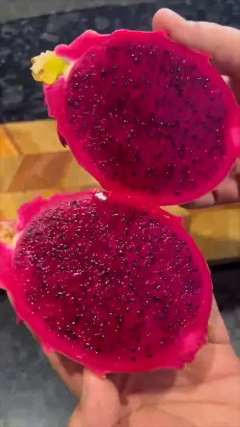 Red Dragon Fruit