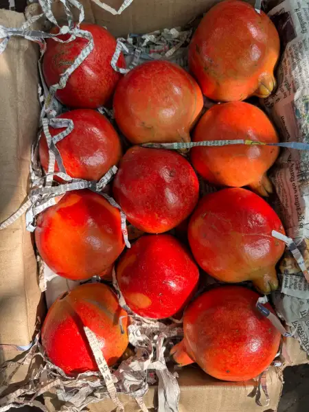 Anaar (Pomegranate)