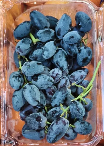 Autumn Royal Grapes