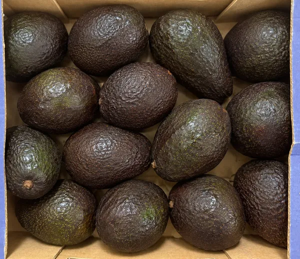 Hass Avocado