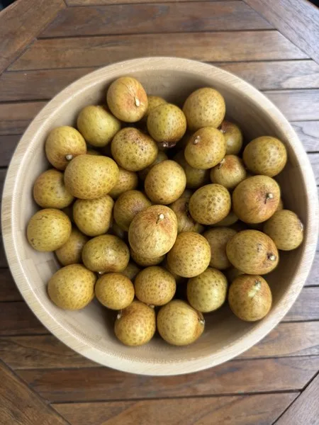 Longan