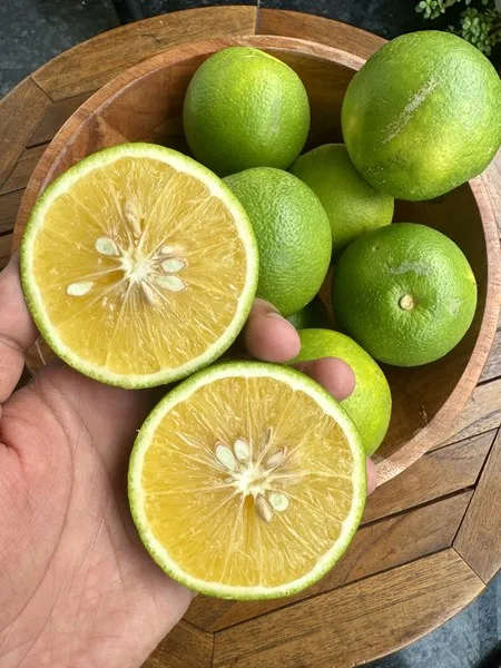 Premium Mausmi