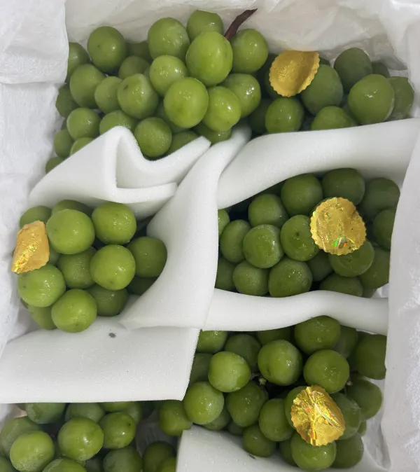 Muscat Grapes