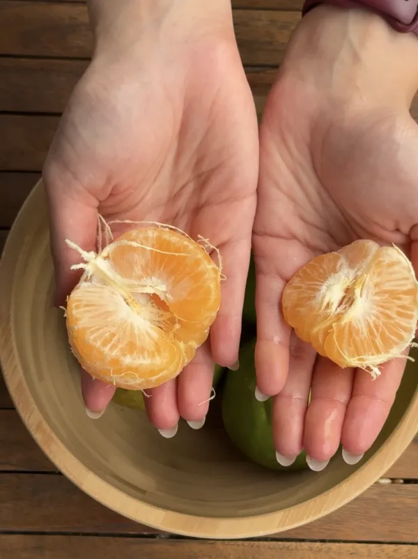 Nagpur Orange