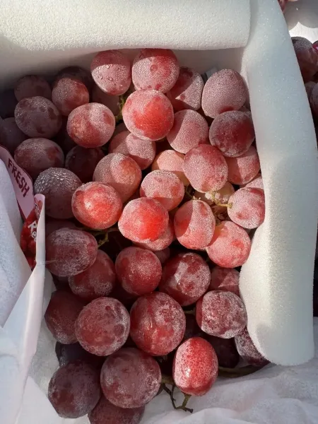 Red Globe Grapes